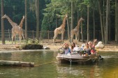 Grote Wildernis.jpg Grote Wildernis.jpg